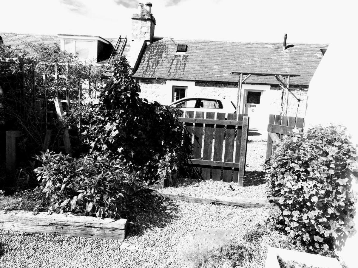 6 Seatown, Lossiemouth Dış mekan fotoğraf